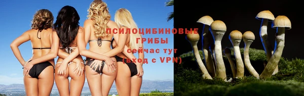 таблы Белоозёрский