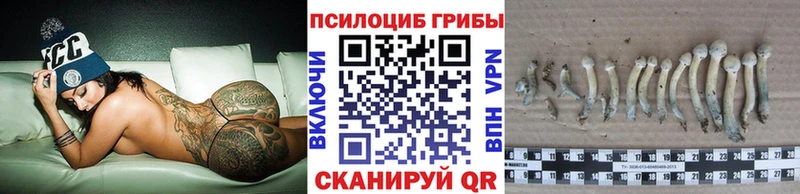 даркнет сайт  Покровск  mega tor  Галлюциногенные грибы мицелий 